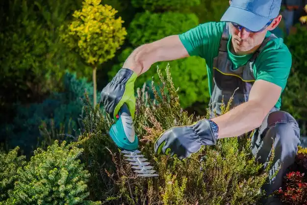 landscaping services Sound Beach